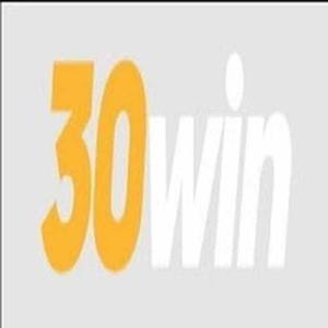 30win logo