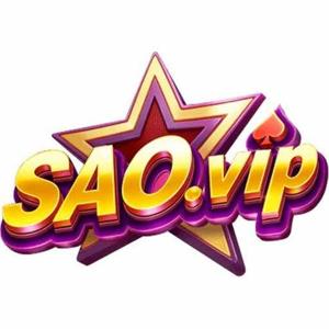 SAO VIP