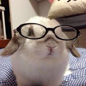 Shravani Bilolikar logo