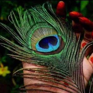 Sri krishna Madhav logo