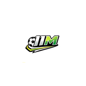 11M