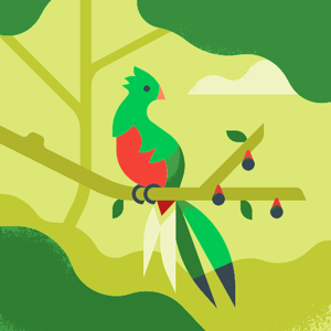 Saragam logo