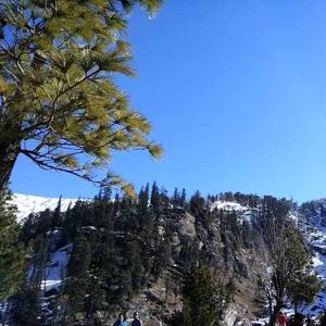 Siddharth Popli logo