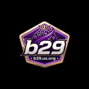 B29 us org