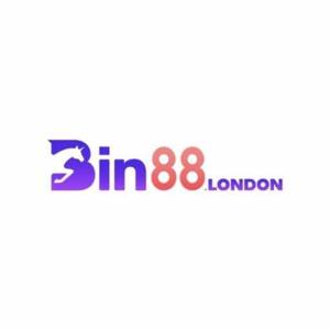 BIN88 logo