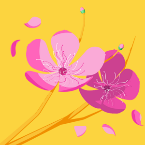 ᴀɴᴊᴀʟɪ ʙᴜʀʜ logo