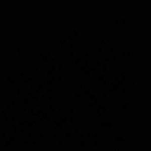 Sumaira Rahman logo