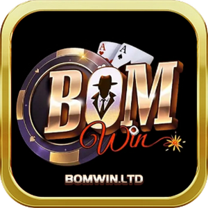 bomwin ltd