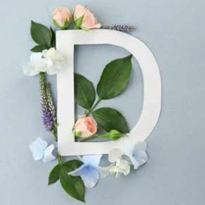 dimple bighane logo