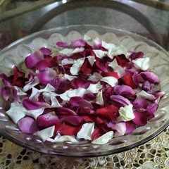 Royal Rose logo