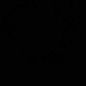 Dipanwita Chatterjee logo