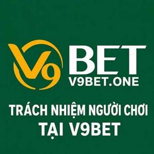 Trách Nhiệm Người Chơi Tại V9Bet logo