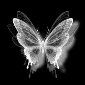 Ayesha Aaquil logo