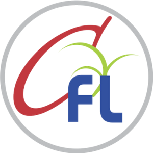 Anjali logo