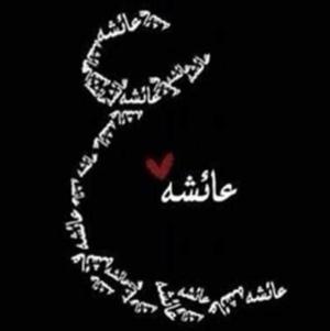 Aysha Muhammad Waseer logo