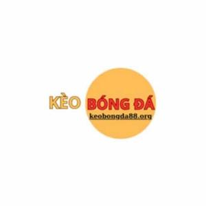 Kèo Bóng Đá Hôm Nay logo