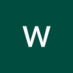 wazir singh logo