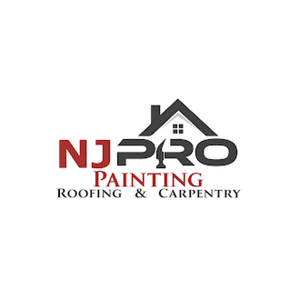 njpropainters logo