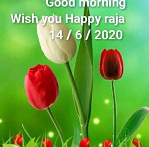 Gopal Nahak logo