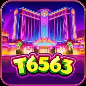 t6563 logo