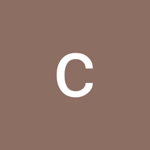 chatpati bhindi logo