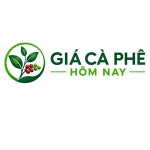 Giá cà phê hôm nay
