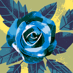 Primiily Shane logo