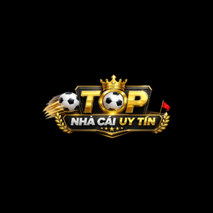 Top10nhacaiuytin in net logo