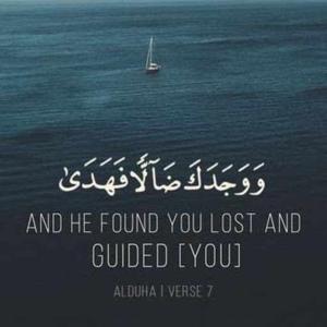 ALIYA FIRDOUS logo