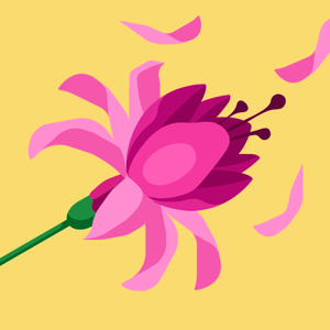 Kashish Jaiswal logo