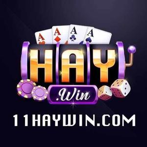 11Haywin com