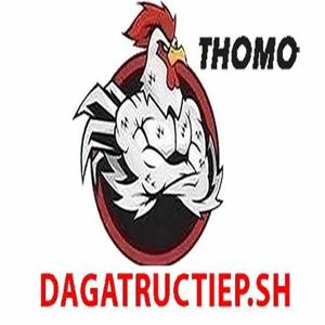 ĐÁ GÀ TRỰC TIẾP SH