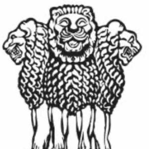 INDIAN EMBASSY Hyderabad logo