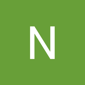 Niyati Sao logo
