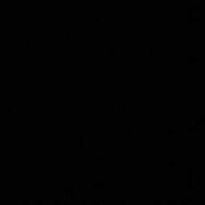 dayana castillo logo