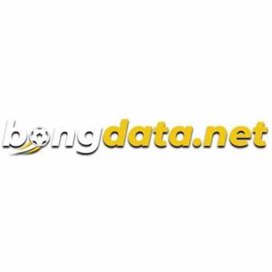 Bongdata logo