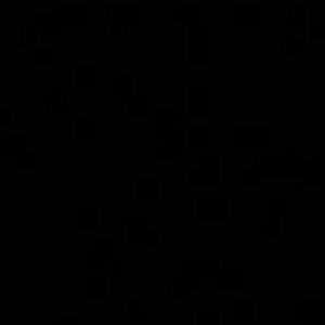 3046 Bhawna Jain logo