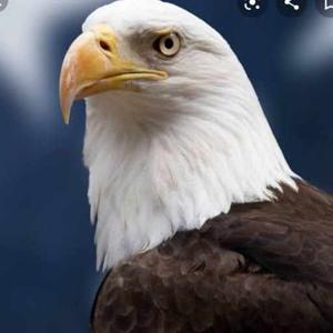 Pramiti Bhargava logo