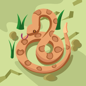 Pooja logo