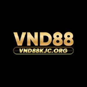 VND88 logo