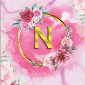 Nishchitha Adi logo