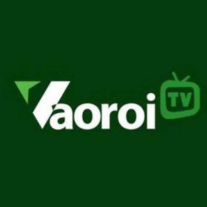 Vaoroi TV Trực Tiếp Bóng Đá logo