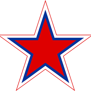 Anshuman Mishra logo