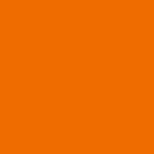 Aamya Rai logo