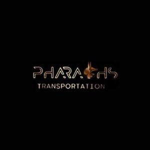 limo service logo