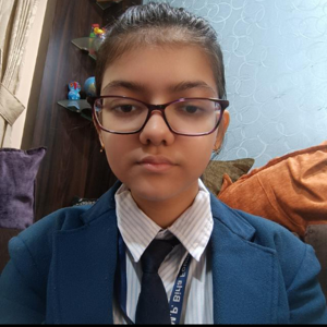 Amna Parvin 7E logo