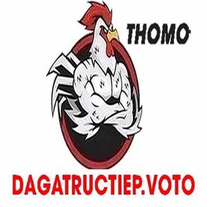 ĐÁ GÀ TRỰC TIẾP VOTO