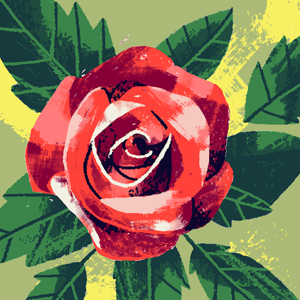 Allyson logo