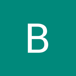 Brynn Jarvis logo