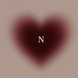 Nabeeha Aamir logo